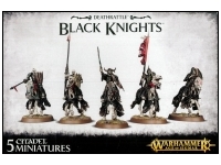 Vampire Counts Black Knights / Hexwraiths