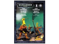 Eldar Fire Dragons Aspect Warrior Squad
