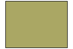 Camo Green Paint