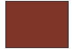 Dark Flesh Paint