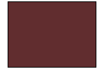 Scorched Brown Paint