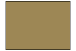 Desert Yellow Paint