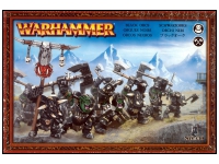 Orcs & Goblins Black Orc Regiment