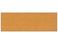 Bronze Fleshtone