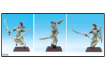 Cynw�ll Asadars 1