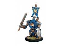 Cygnar Stormclad (Box)