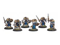 Cygnar Sword Knight Unit (Box)