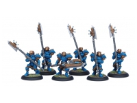Cygnar Stormguard Unit (Box)
