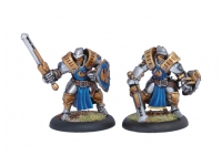 Cygnar Sword Knights