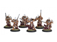 Protectorate Knights Exemplar Unit (Box)