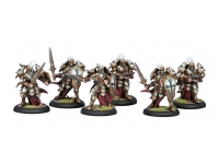 Protectorate Exemplar Errants Unit (Box)