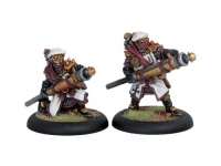 Protectorate Deliverers