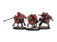Khador Iron Fang Uhlan Unit (Box)
