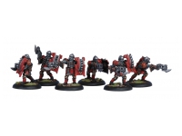 Khador Assault Kommandos Unit (Box)