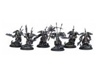 Cryx Bane Thralls Unit (Box)