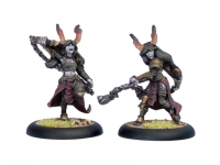 Cryx Satyxis Raiders