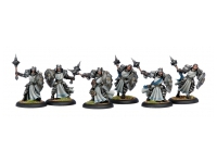Precursor Knights Cygnar Allies Unit (Box)
