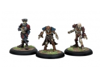 Mercenaries Risen