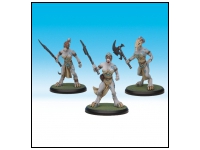 Sacred Vestals (Unit Box)