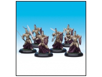 Paladins (Unit Box)