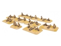 Light Mortar Platoon