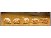 Flock of Sheep