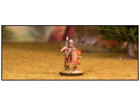 Legionary 2. Standing Segmented Armour