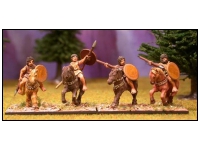 Numidian Light Horse 1