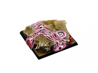 Infested Base, 50x50mm (1)