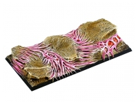 Infested Base, Chariot 50x100mm (1)