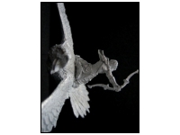 Silvanus: Wind Rider II
