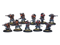 Khador Winterguard Rifle Corps (Box)