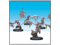 Wamphyrs (Unit Box)