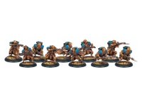 Cygnar Trencher Unit (Box)
