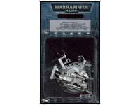 Dark Eldar Beastmaster