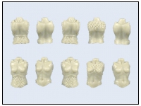 Amazons Torsos #1 (5)