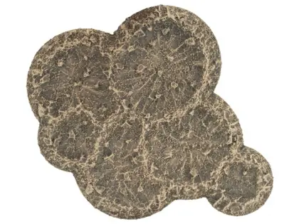 Klicka för större bild