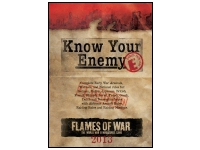 Know Your Enemy: Early War 2013