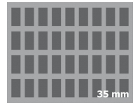 35 mm Full-Size Foam Tray, 36 Cut-Outs, with Bottom