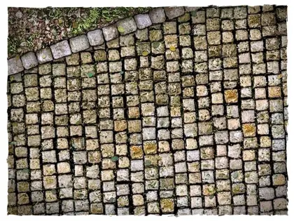 Klicka för större bild