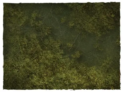 Klicka för större bild