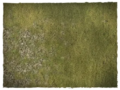 Klicka för större bild