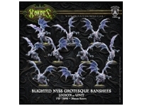 Legion Blighted Nyss Grotesque Raiders / Banshees (Box - Plastic)