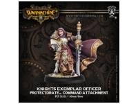 Protectorate Knight Exemplar Officer