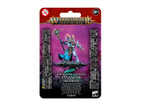 Disciples of Tzeentch Tzaangor Shaman