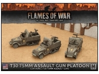 T30 75mm Assault Gun Platoon (Mid)