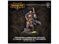 Cygnar Trencher Commando Officer