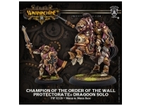 Protectorate Champion of the Order of the Wall (Box)