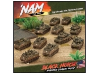 Black Horse Armored Cavalry Troop