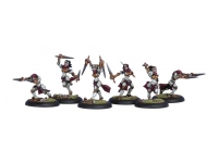 Protectorate Daughters of the Flame (Box)